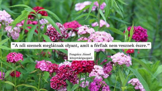 KOLLÉGIUM NŐI PÁRTFOGÓI