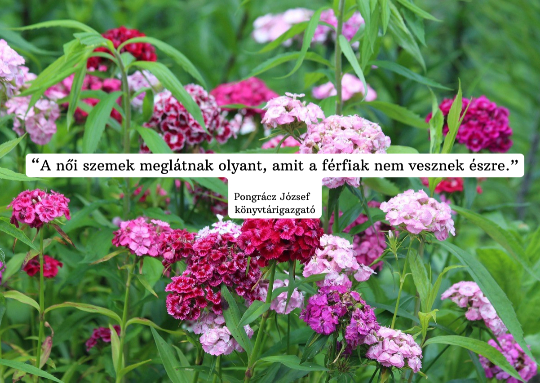 KOLLÉGIUM NŐI PÁRTFOGÓI